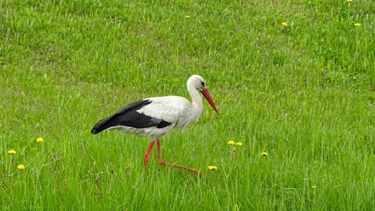 ��������� �����. ����� �������� �������� �� PhotoGeek.ru #�������� ���