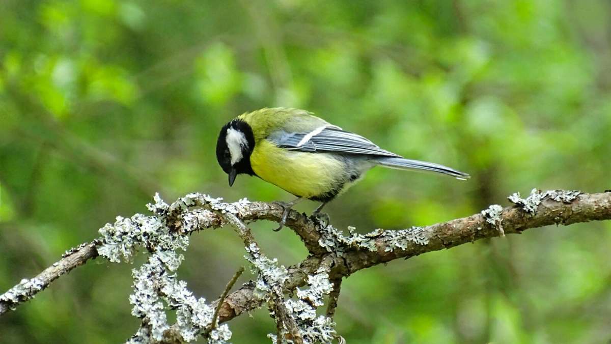 ������ ������. ����� �������� �������� �� PhotoGeek.ru #�������� ���