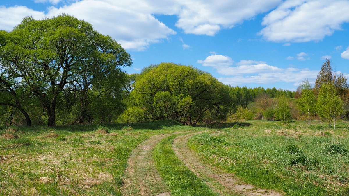 ����������� �����. ����� �������� �������� �� PhotoGeek.ru #������ ��� �������