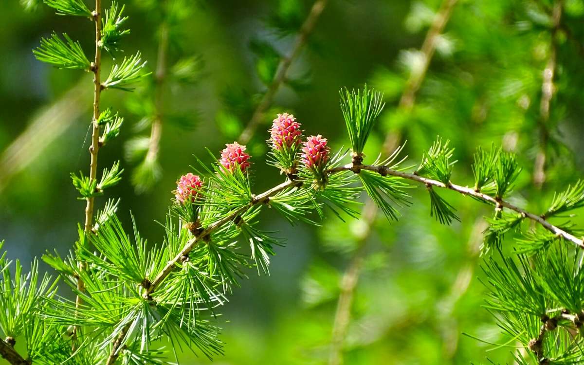 ����� �����������. ����� �������� �������� �� PhotoGeek.ru #������ ��� �������