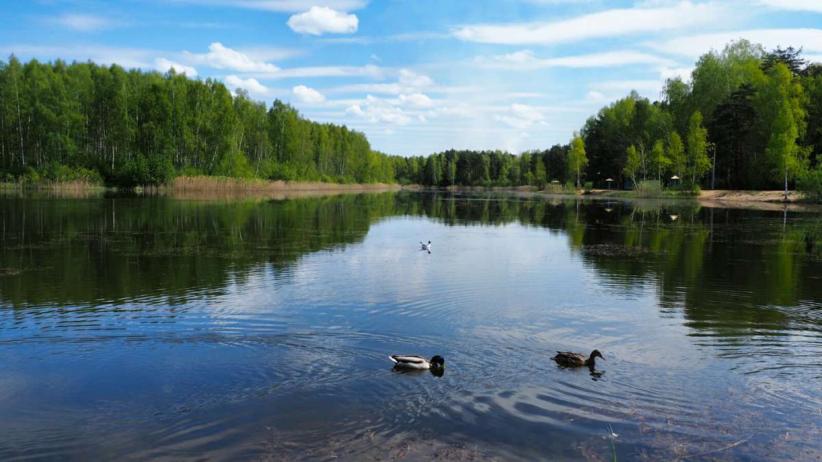 ��� ����������. ����� �������� �������� �� PhotoGeek.ru #������ ��� �������