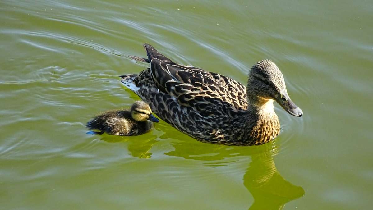 � ����� �� �������. ����� �������� �������� �� PhotoGeek.ru #����� #�������� ���