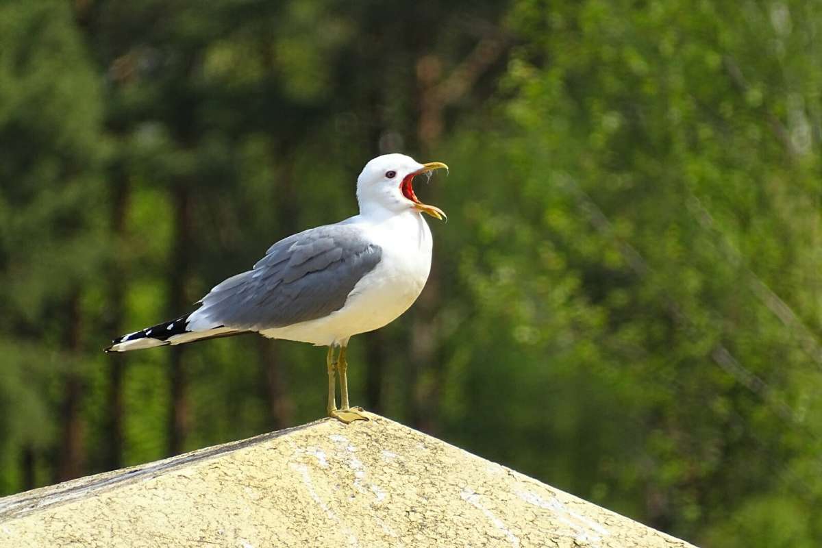 ����� ������ ������� �����! ����� �������� �������� �� PhotoGeek.ru #�������� ���