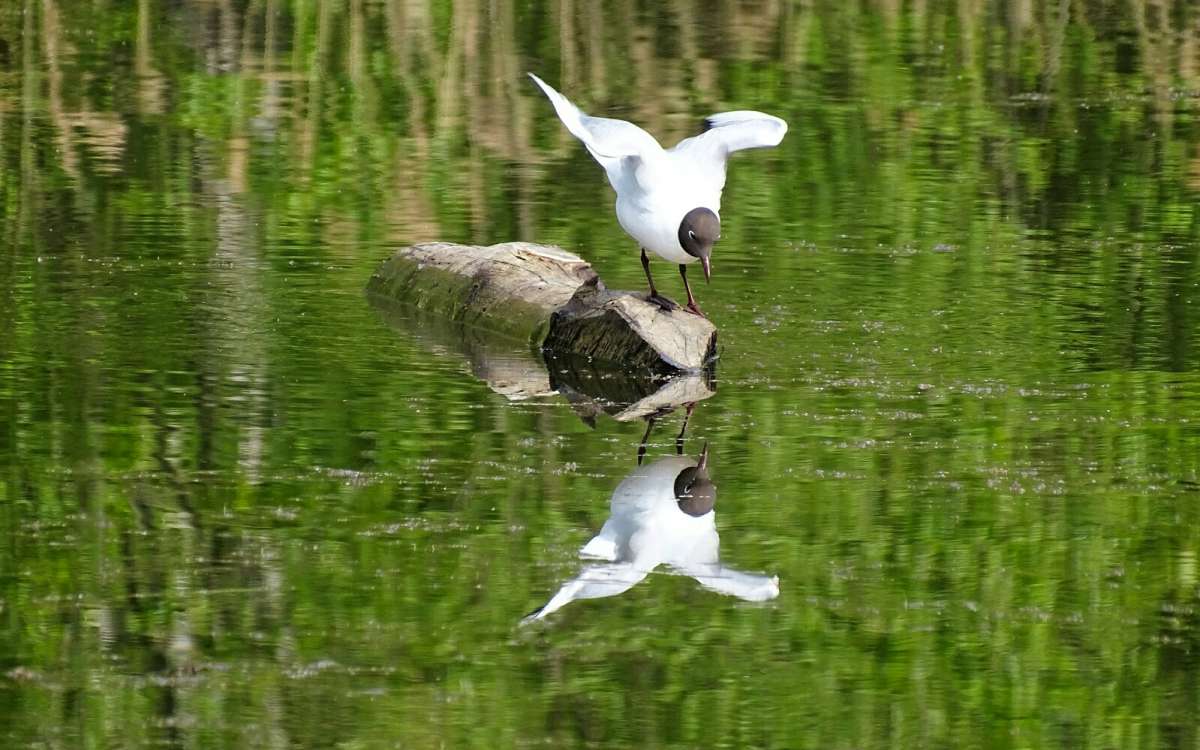 "����� � ���� ��� � �������..." ����� �������� �������� �� PhotoGeek.ru #�������� ���