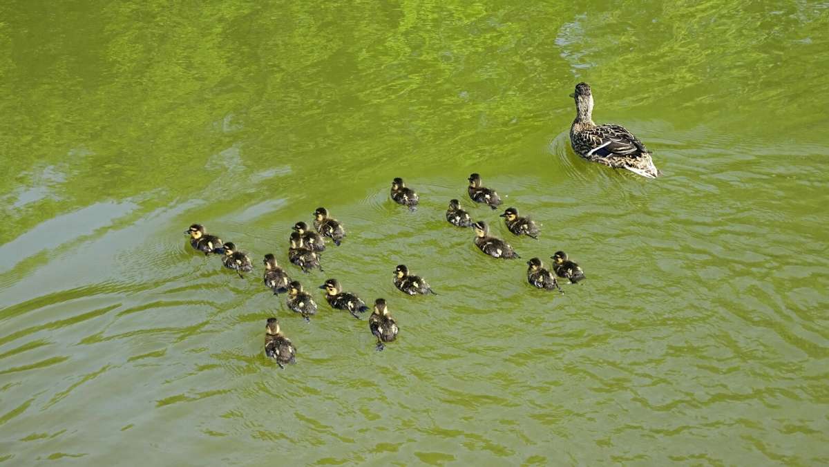 ���� � �������� � 18-�� ����. ����� �������� �������� �� PhotoGeek.ru #����� #�������� ���