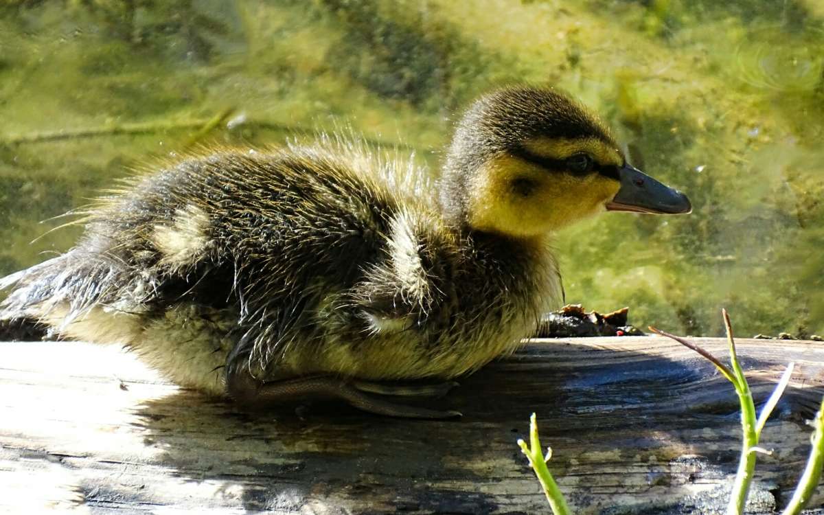 ����� �� ������ ����� ��������. ����� �������� �������� �� PhotoGeek.ru #����� #�������� ���