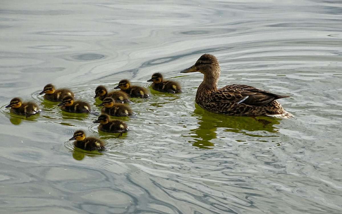 ����� ��� ���������� � ������� ����-����. ����� �������� �������� �� PhotoGeek.ru #����� #�������� ���