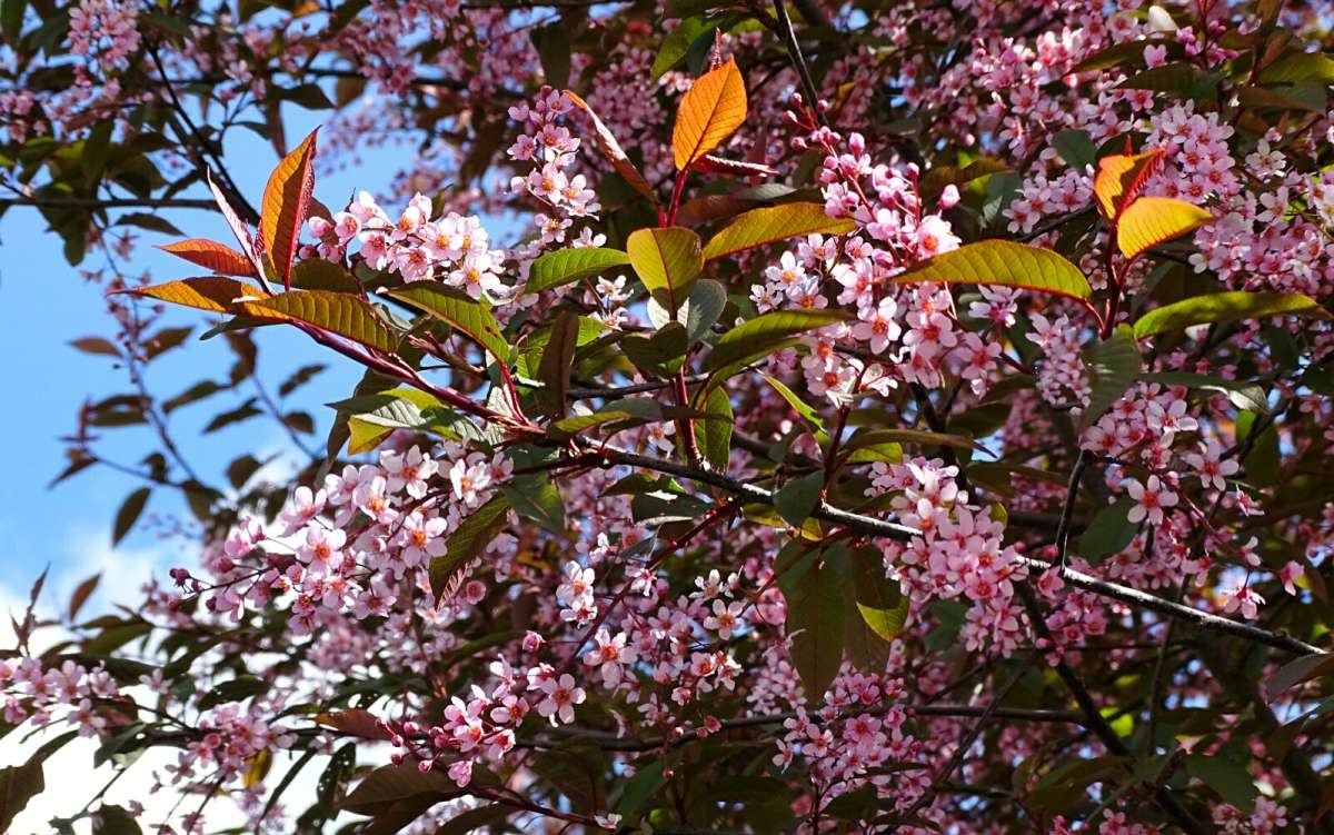 ���� ������� �������. ����� �������� �������� �� PhotoGeek.ru #������ ��� �������