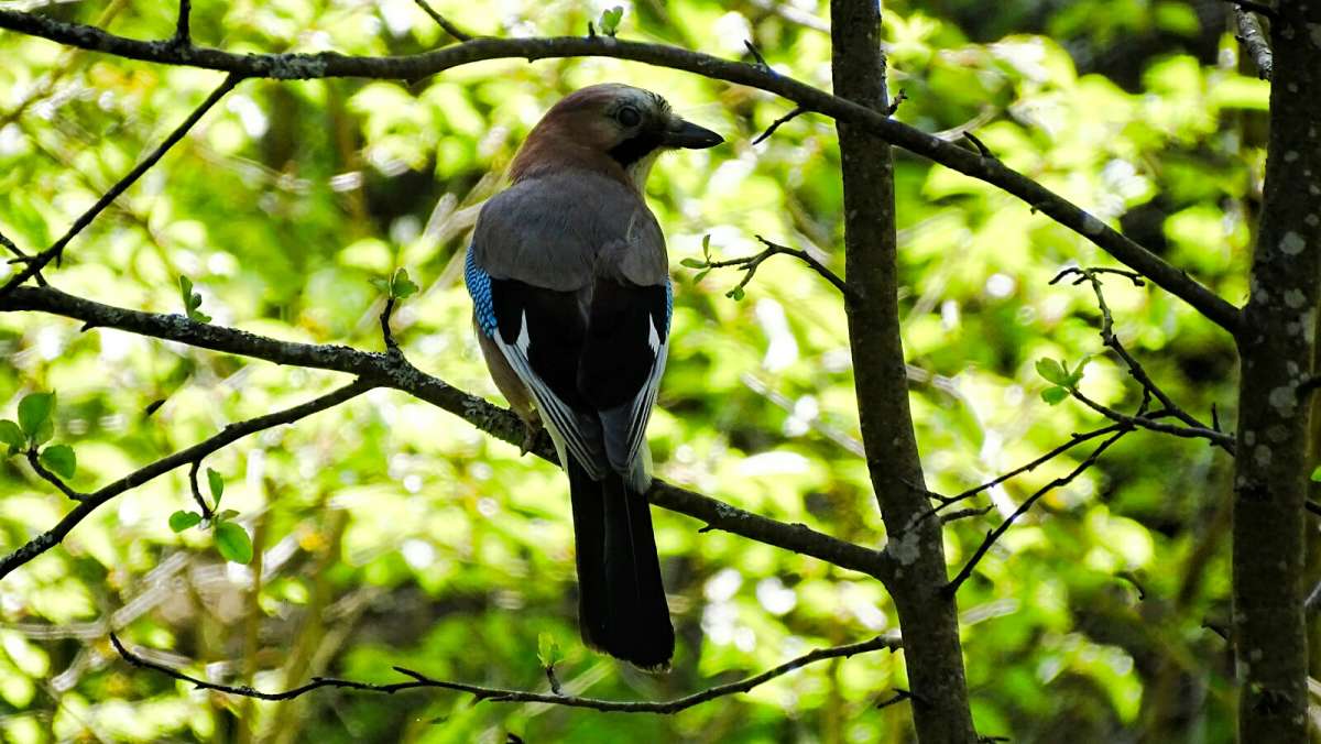 ����� � ����������� ����. ����� �������� �������� �� PhotoGeek.ru #�������� ���