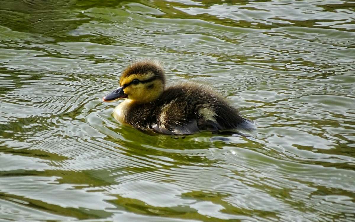 ����� � ������ ������. ����� �������� �������� �� PhotoGeek.ru #����� #�������� ���