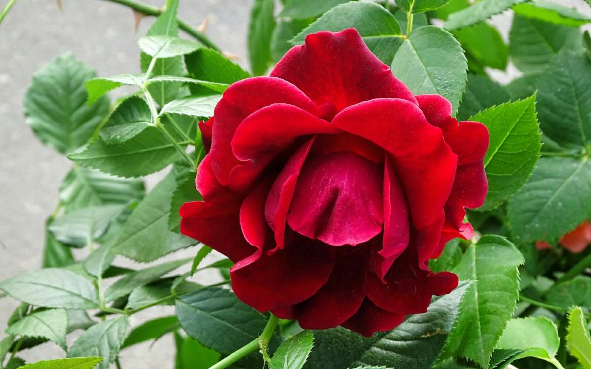 ��� ����. ����� �������� �������� �� PhotoGeek.ru #�����