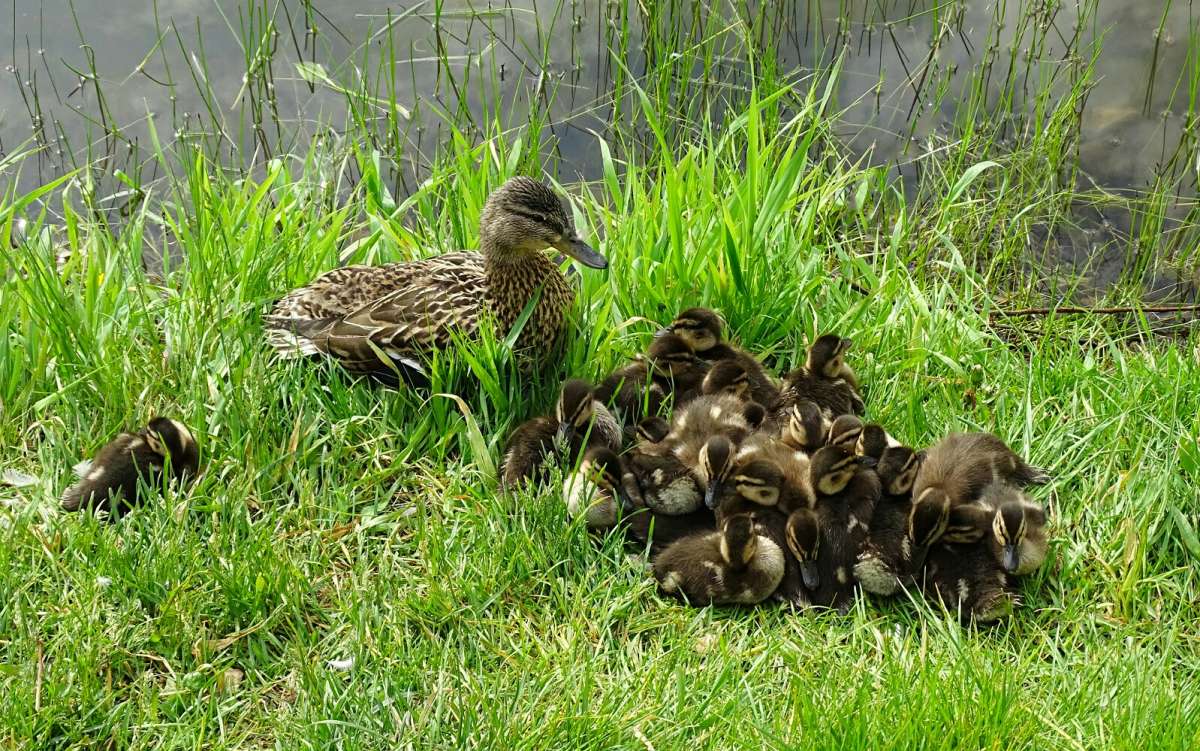 ��� ����� � �����, � ���� ��� �� ����. ����� �������� �������� �� PhotoGeek.ru #����� #�������� ���