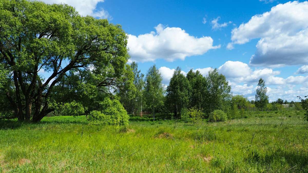 �������� ����. ����� �������� �������� �� PhotoGeek.ru #������ ��� �������