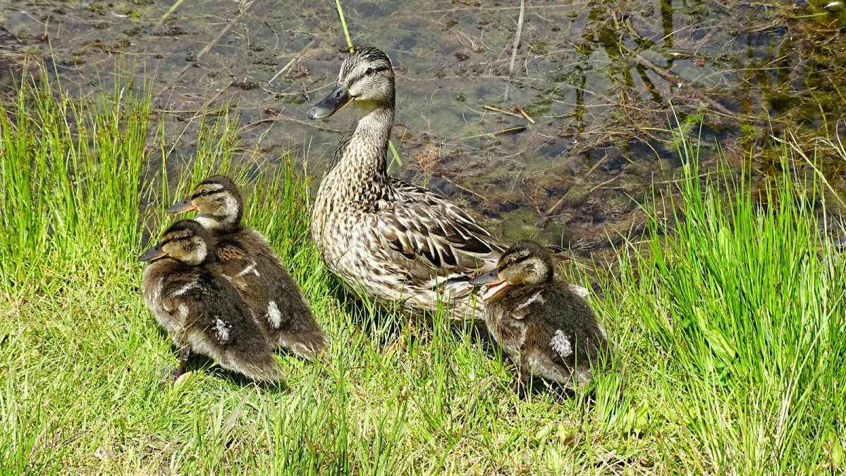 ������ � �������. ����� �������� �������� �� PhotoGeek.ru #�������� ���