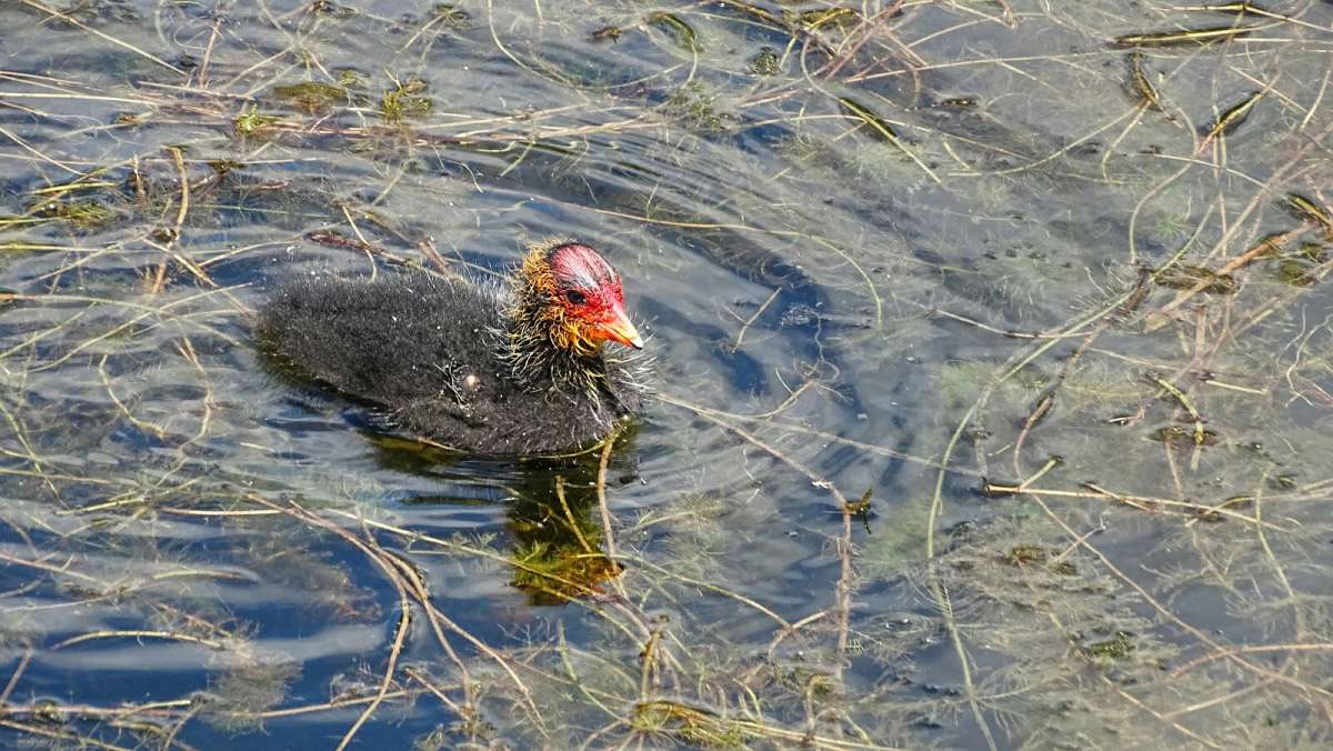 ���������. ����� �������� �������� �� PhotoGeek.ru #�������� ���