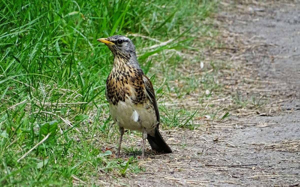 ����� ����������� � "������" ������. ����� �������� �������� �� PhotoGeek.ru #�������� ���