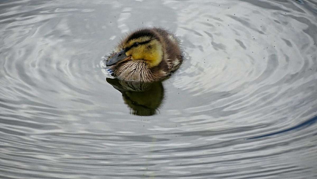 ����� ������. ����� �������� �������� �� PhotoGeek.ru #�������� ���