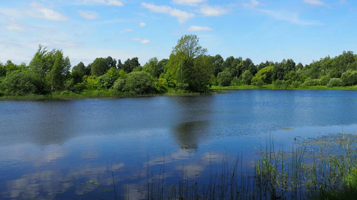 ��� ����������. ����� �������� �������� �� PhotoGeek.ru #������ ��� �������