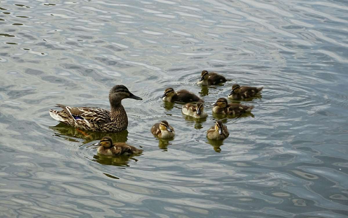 ����� ���� ���������. ����� �������� �������� �� PhotoGeek.ru #�������� ���