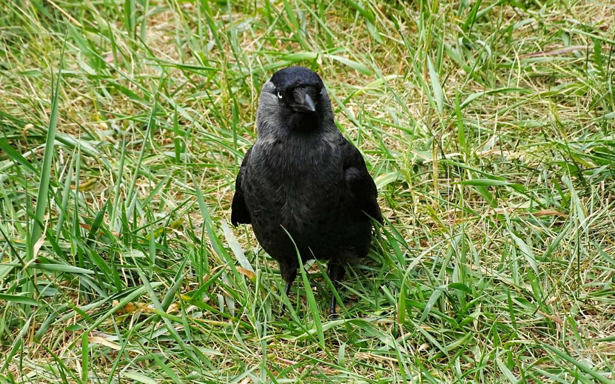 �� ������ ������ �����. ����� �������� �������� �� PhotoGeek.ru #����� #�������� ���