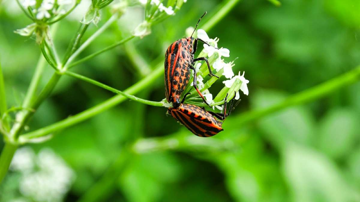 �� ����� ���������. ����� �������� �������� �� PhotoGeek.ru #�������� ��� #������ ��� �������