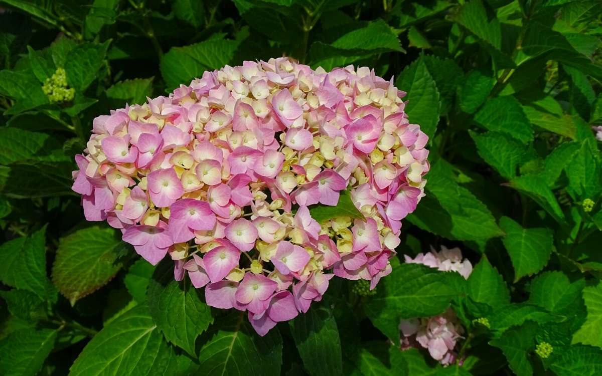 ���������. ����� �������� �������� �� PhotoGeek.ru #����� #�����