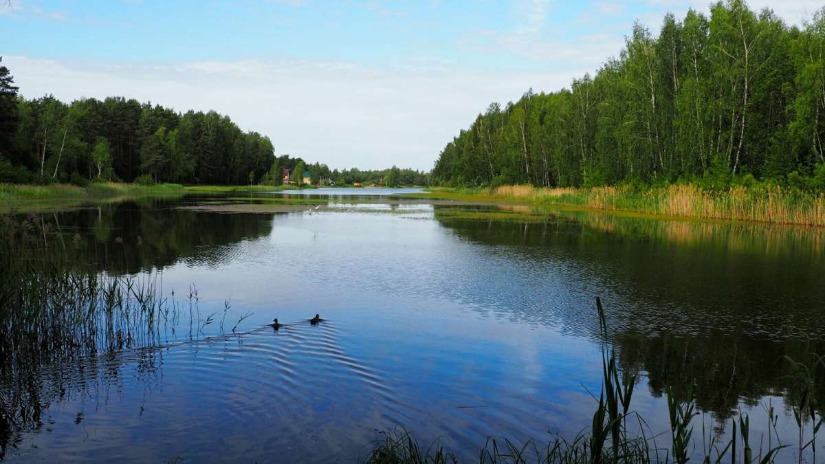 ������� ����������. ����� �������� �������� �� PhotoGeek.ru #������ ��� �������