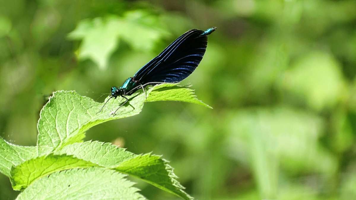 ����� �������� ����������. ����� �������� �������� �� PhotoGeek.ru #�������� ���