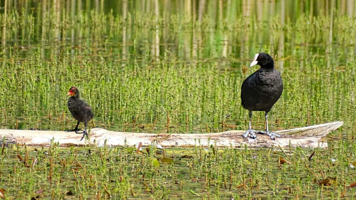 ����������� ���������. ����� �������� �������� �� PhotoGeek.ru #�������� ���