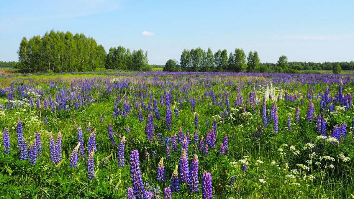 ��������� ����. ����� �������� �������� �� PhotoGeek.ru #������ ��� �������