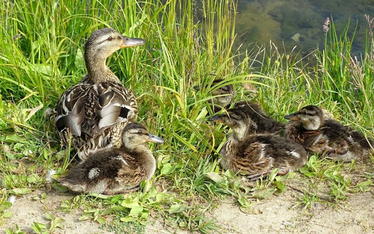 ����� ��� ���������. ����� �������� �������� �� PhotoGeek.ru #�������� ���