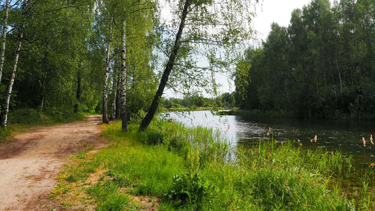 ���������� ����. ����� �������� �������� �� PhotoGeek.ru #������ ��� �������