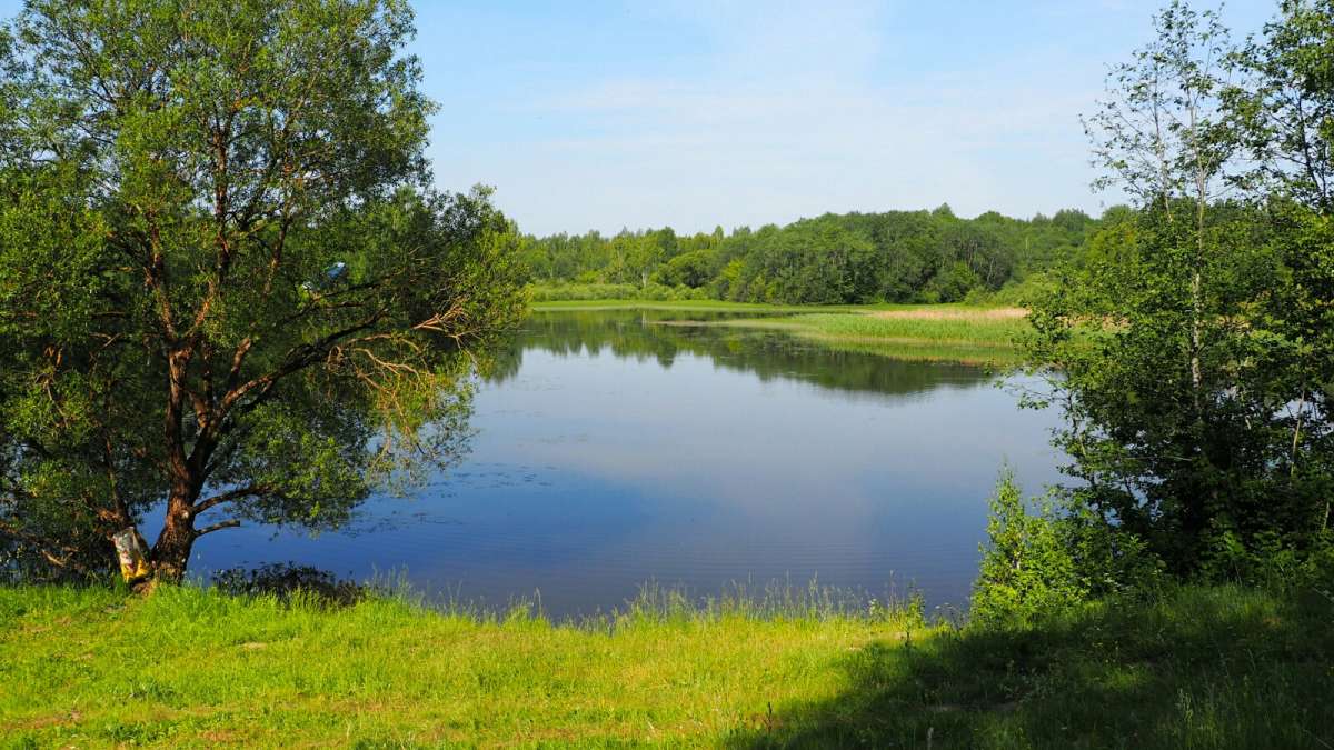 ������ ������. ����� �������� �������� �� PhotoGeek.ru #������ ��� �������