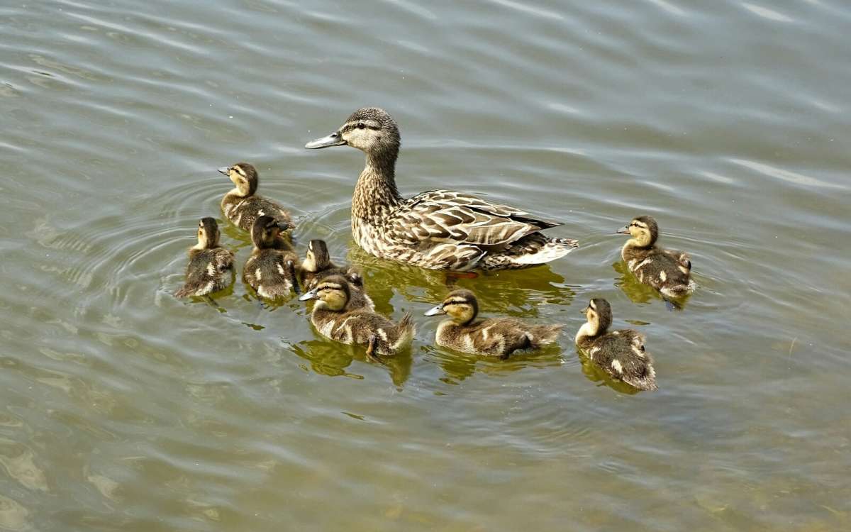 ������ � �������. ����� �������� �������� �� PhotoGeek.ru #�������� ���