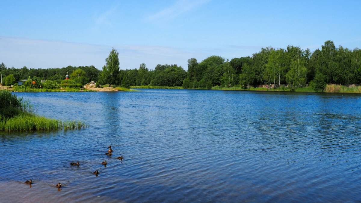 ������ ����������� ������. ����� �������� �������� �� PhotoGeek.ru #������ ��� �������