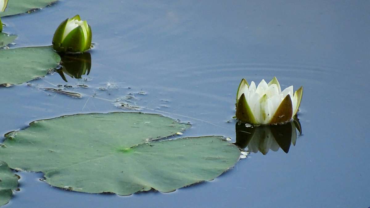 ����� �������� �� ���������� �����. ����� �������� �������� �� PhotoGeek.ru #������ ��� �������