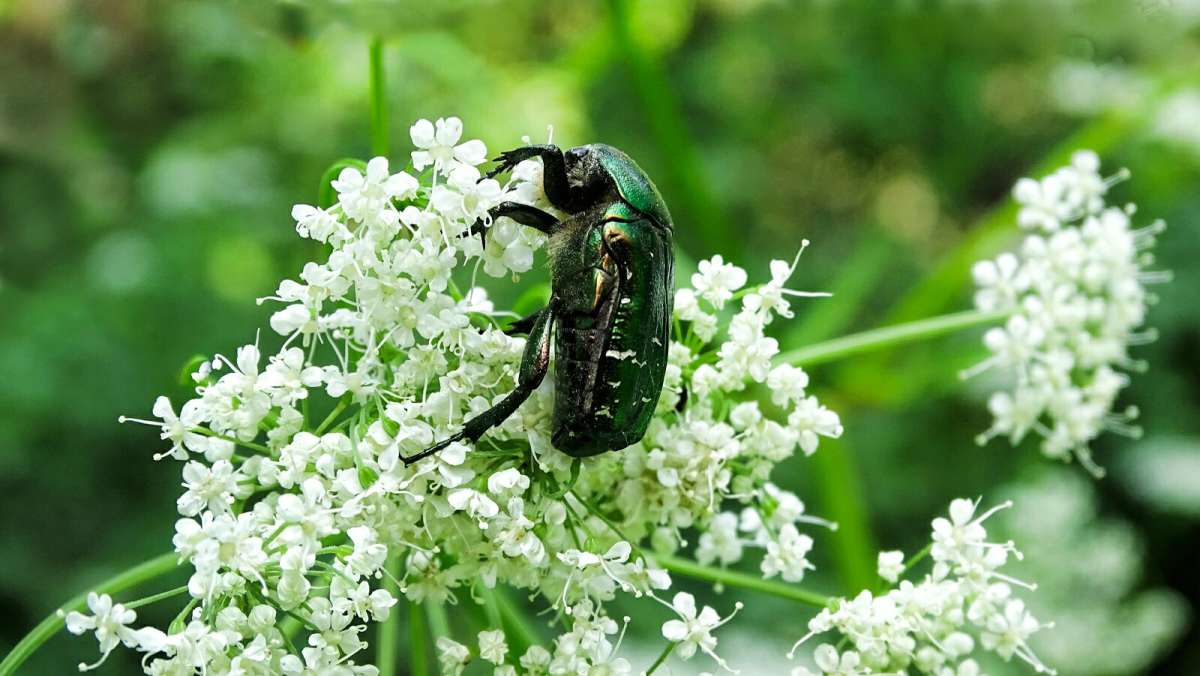 ���������. ����� �������� �������� �� PhotoGeek.ru #����� #�������� ���