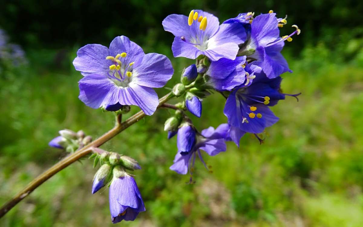 ������� �����. ����� �������� �������� �� PhotoGeek.ru #������ ��� �������