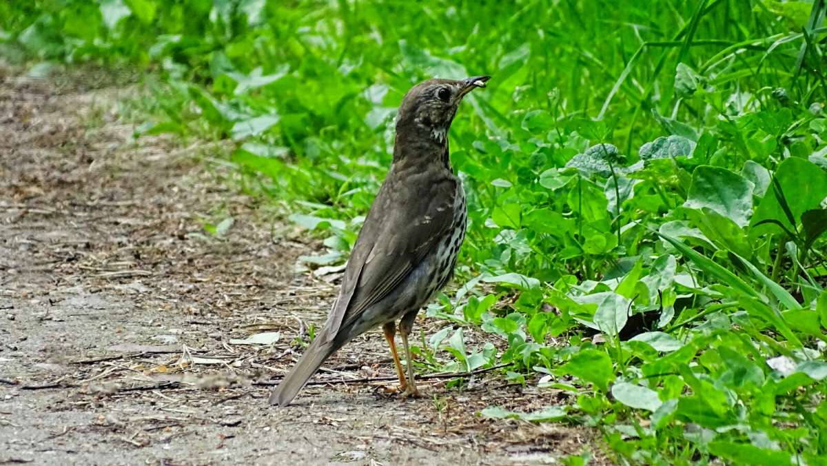 � �������. ����� �������� �������� �� PhotoGeek.ru #�������� ���