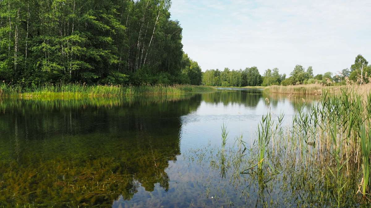 ��� ����. ����� �������� �������� �� PhotoGeek.ru #������ ��� �������