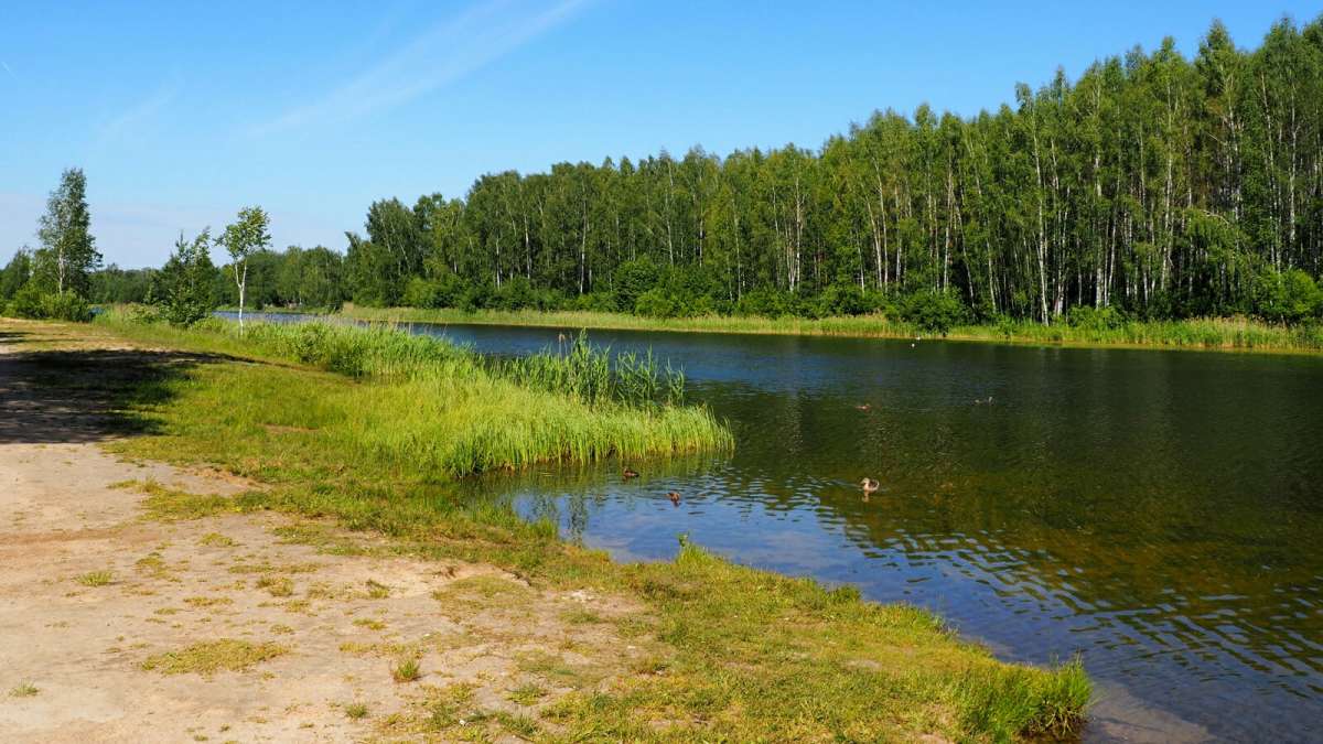 ���������� ����. ����� �������� �������� �� PhotoGeek.ru #������ ��� �������