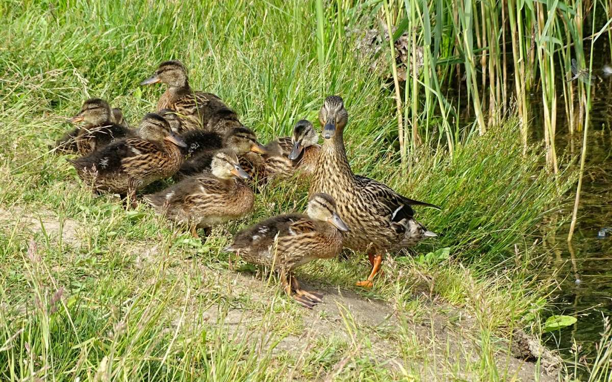 ������ ���������. ����� �������� �������� �� PhotoGeek.ru #�������� ���