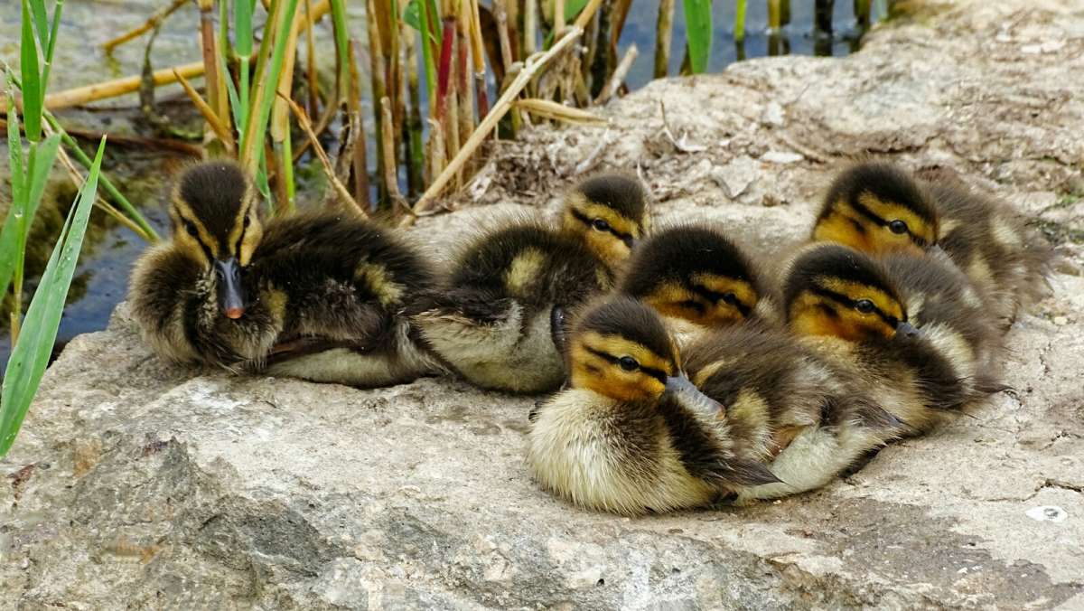 �� ����� ����. ����� �������� �������� �� PhotoGeek.ru #�������� ���