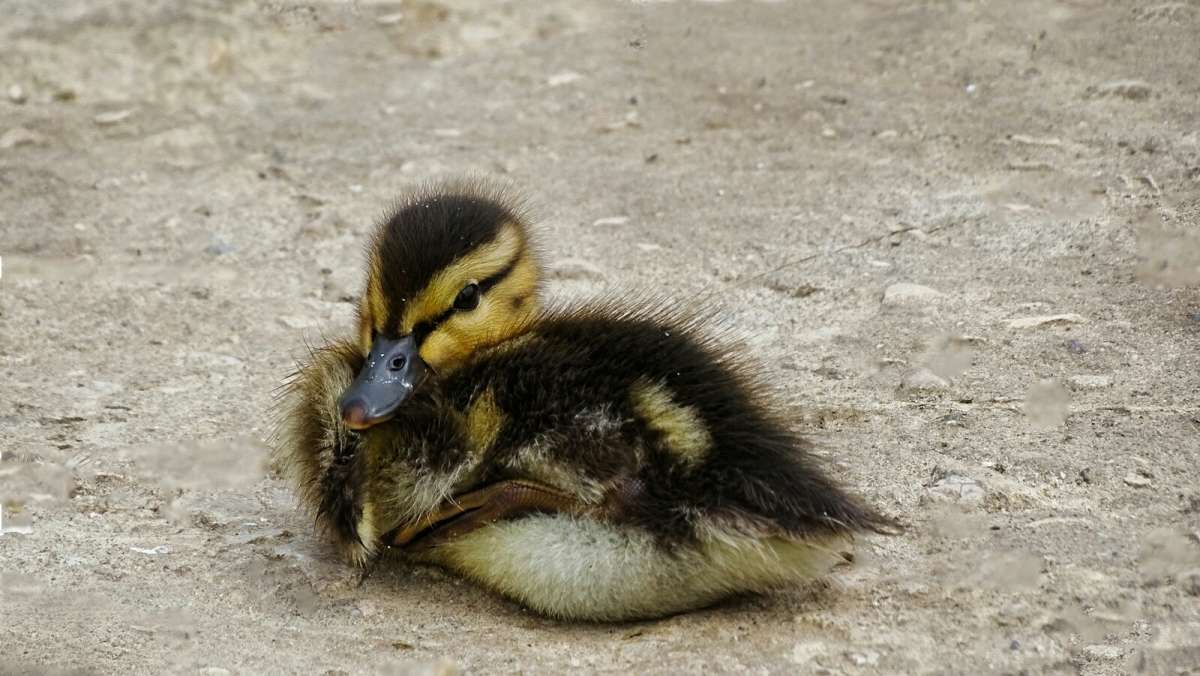 ������� ����� ������. ����� �������� �������� �� PhotoGeek.ru #�������� ���