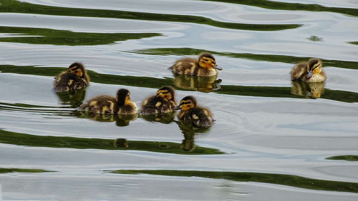 ������� ������� ������. ����� �������� �������� �� PhotoGeek.ru #�������� ���