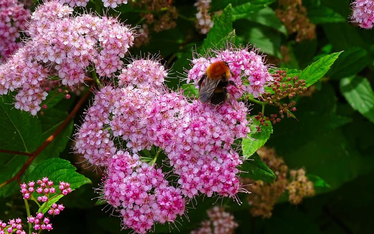 ����� �������� ����. ����� �������� �������� �� PhotoGeek.ru #����� #�����