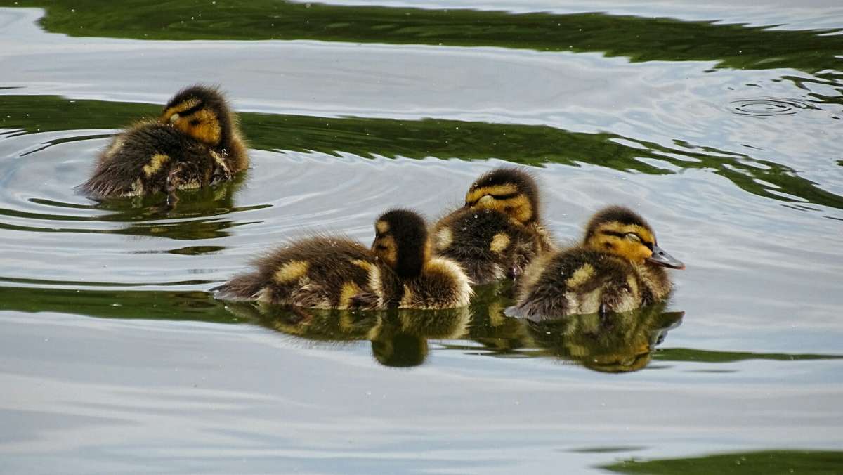 ����� ������ ������ ������ �� ����.. ����� �������� �������� �� PhotoGeek.ru #�������� ���