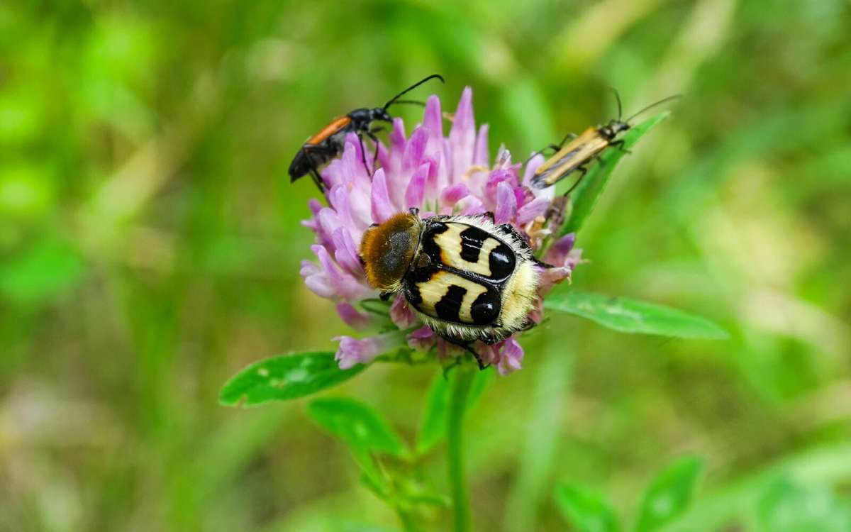 �� ����� ���������. ����� �������� �������� �� PhotoGeek.ru #����� #�������� ���