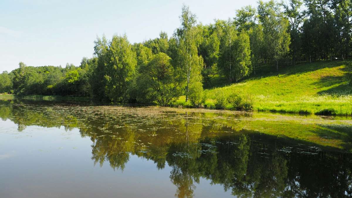 ������ ���������� �������. ����� �������� �������� �� PhotoGeek.ru #������ ��� �������