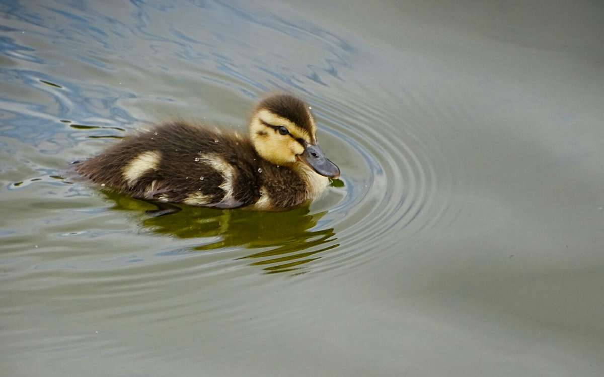 ������ ����. ����� �������� �������� �� PhotoGeek.ru #�������� ���